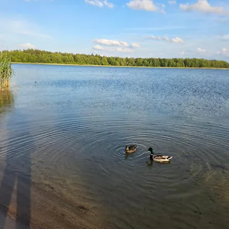 Дом отдыха Mazury Z Sauna I Jacuzzi! Богачево