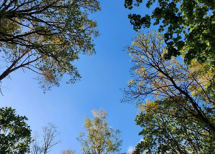 Дом отдыха Mazury! Богачево