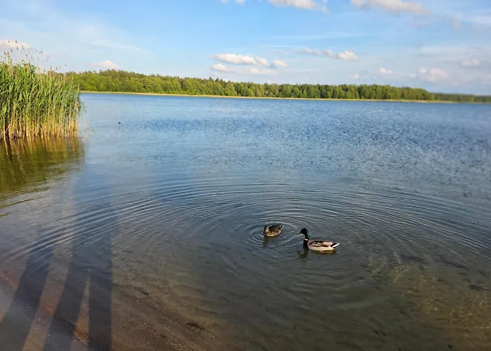Дом отдыха Mazury! Богачево